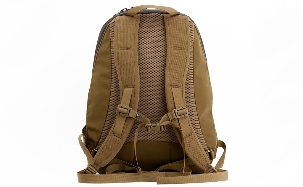 Guide's Edition Synapse 25